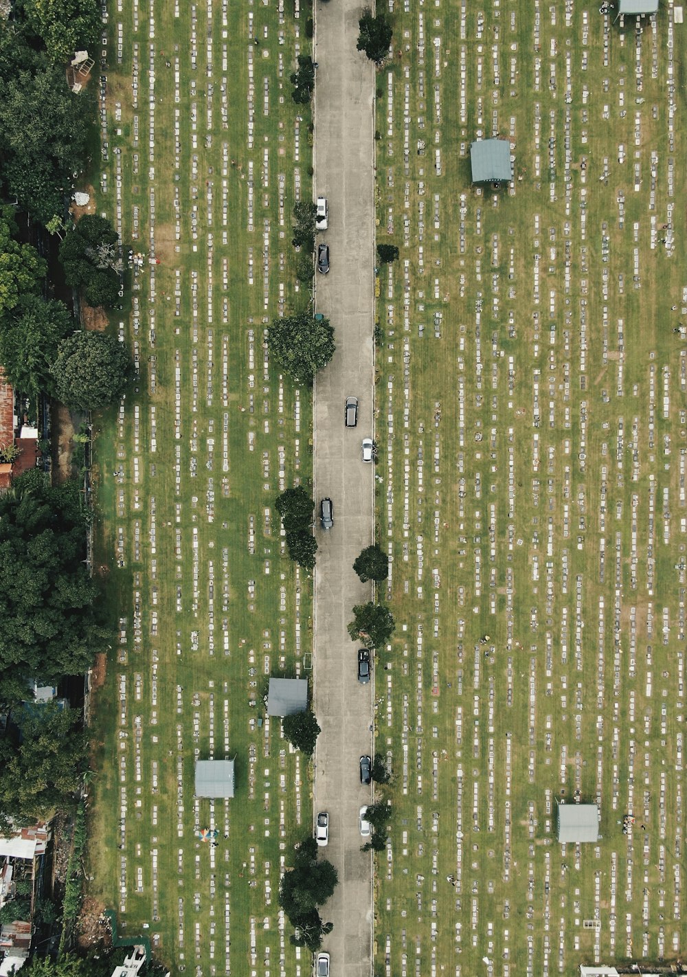 green grass field during daytime