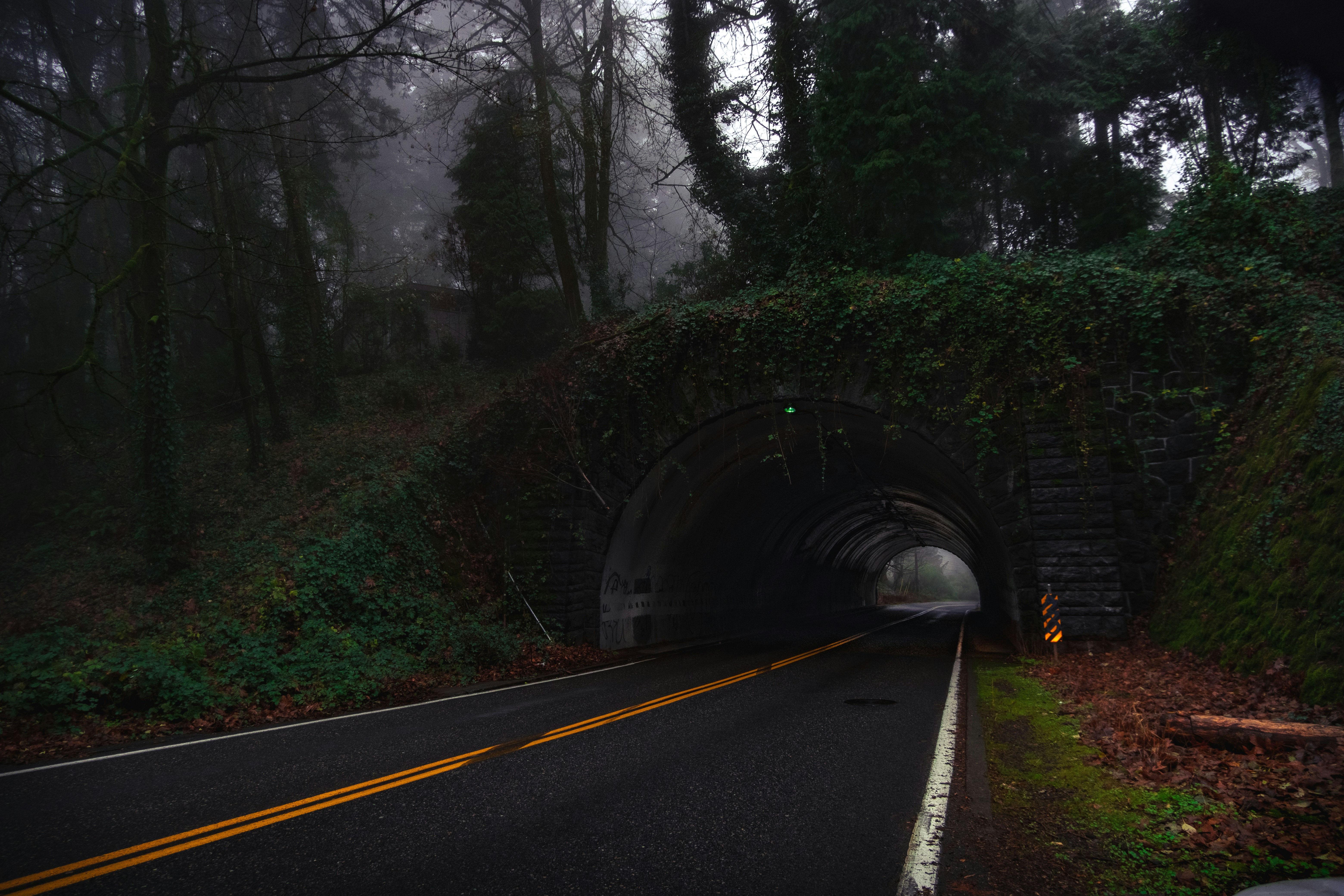 Photo by randyrizo