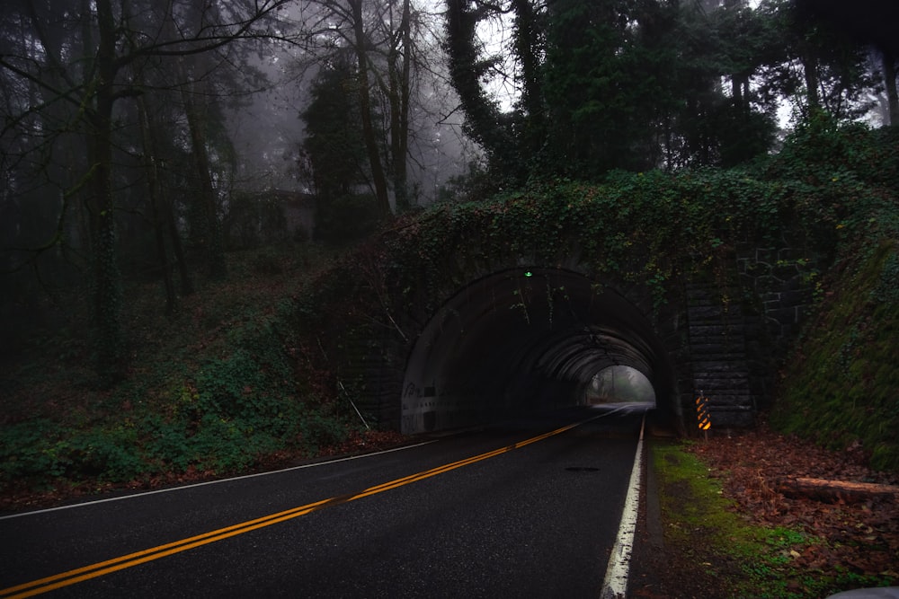 昼間の緑の木々の間の黒いアスファルト道路