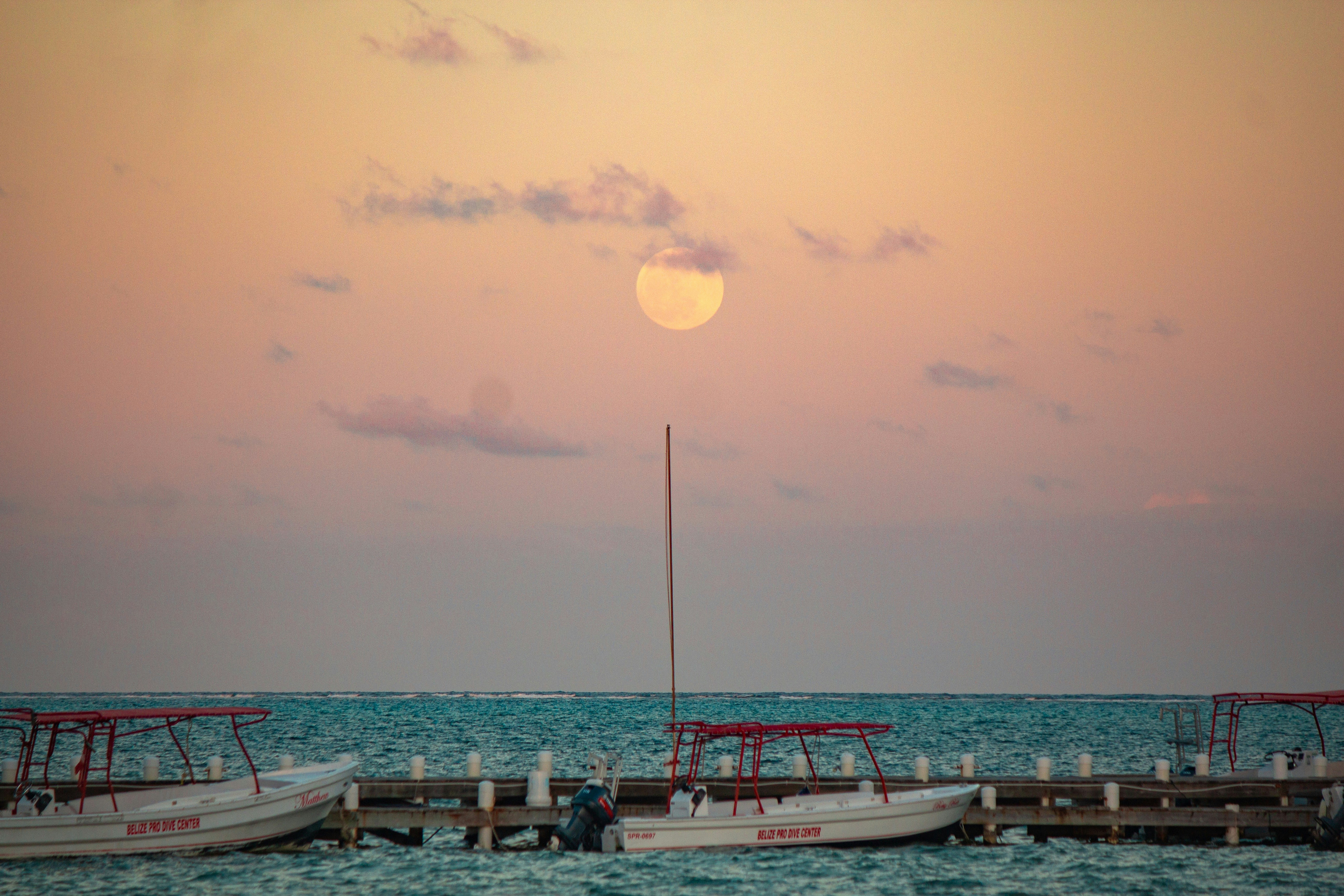 white and blue boat on sea during daytime