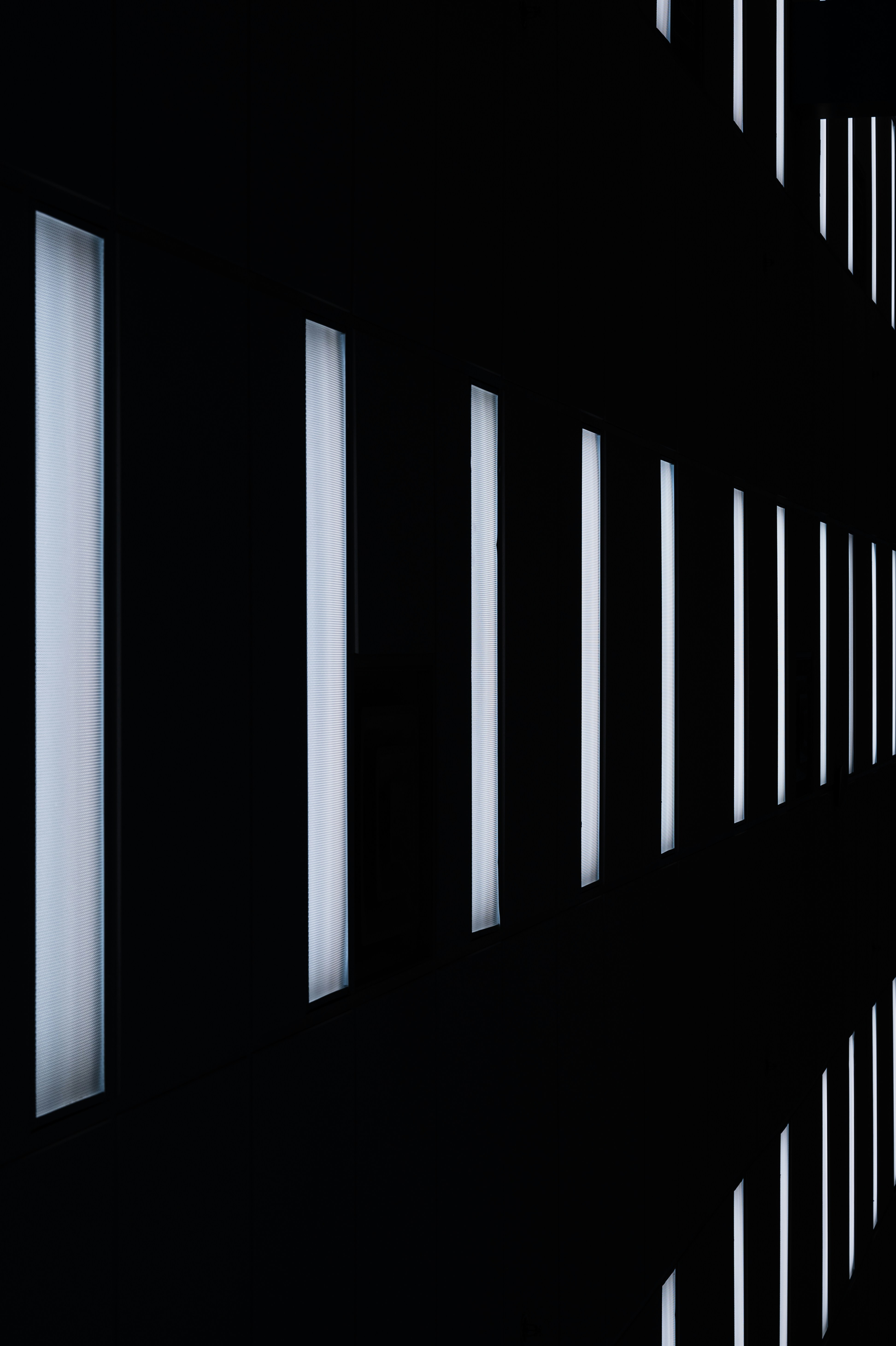 Photo by ryunosuke_kikuno