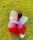 A child wearing a vibrant red dress adorned with gold stars and a large pair of translucent fairy wings crawls or sits on a lush, green grassy field. The wings have a delicate swirl design, and the child is also wearing shiny shoes and a red headband.
