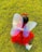 A child wearing a vibrant red dress adorned with gold stars and a large pair of translucent fairy wings crawls or sits on a lush, green grassy field. The wings have a delicate swirl design, and the child is also wearing shiny shoes and a red headband.