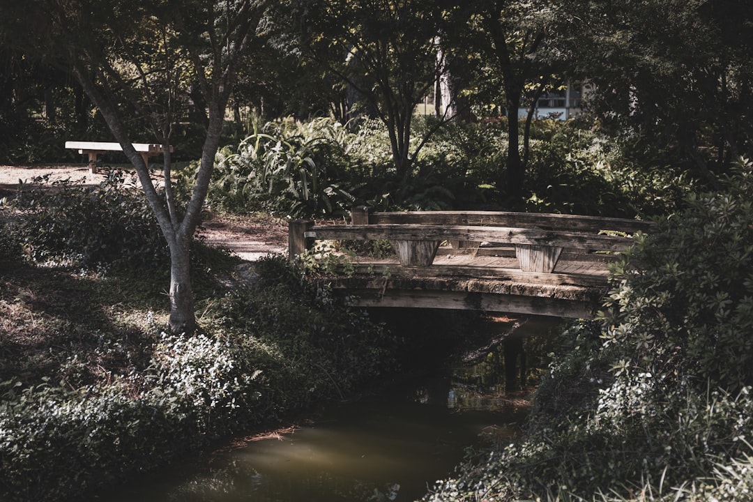 brown wooden bridge over river