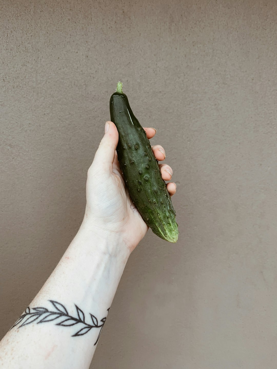 person holding green cucumber vegetable