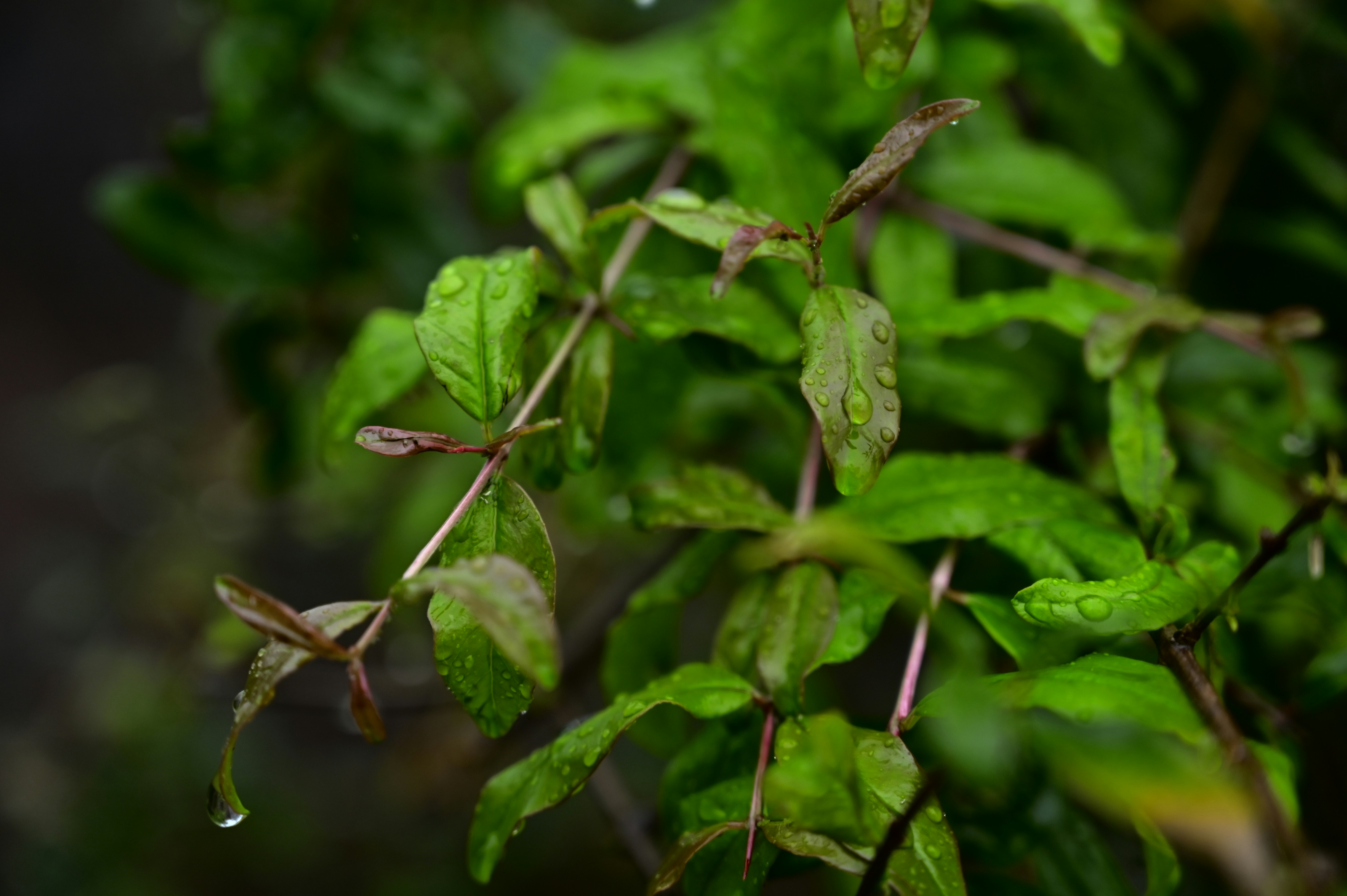 Photo by rrajputphotography