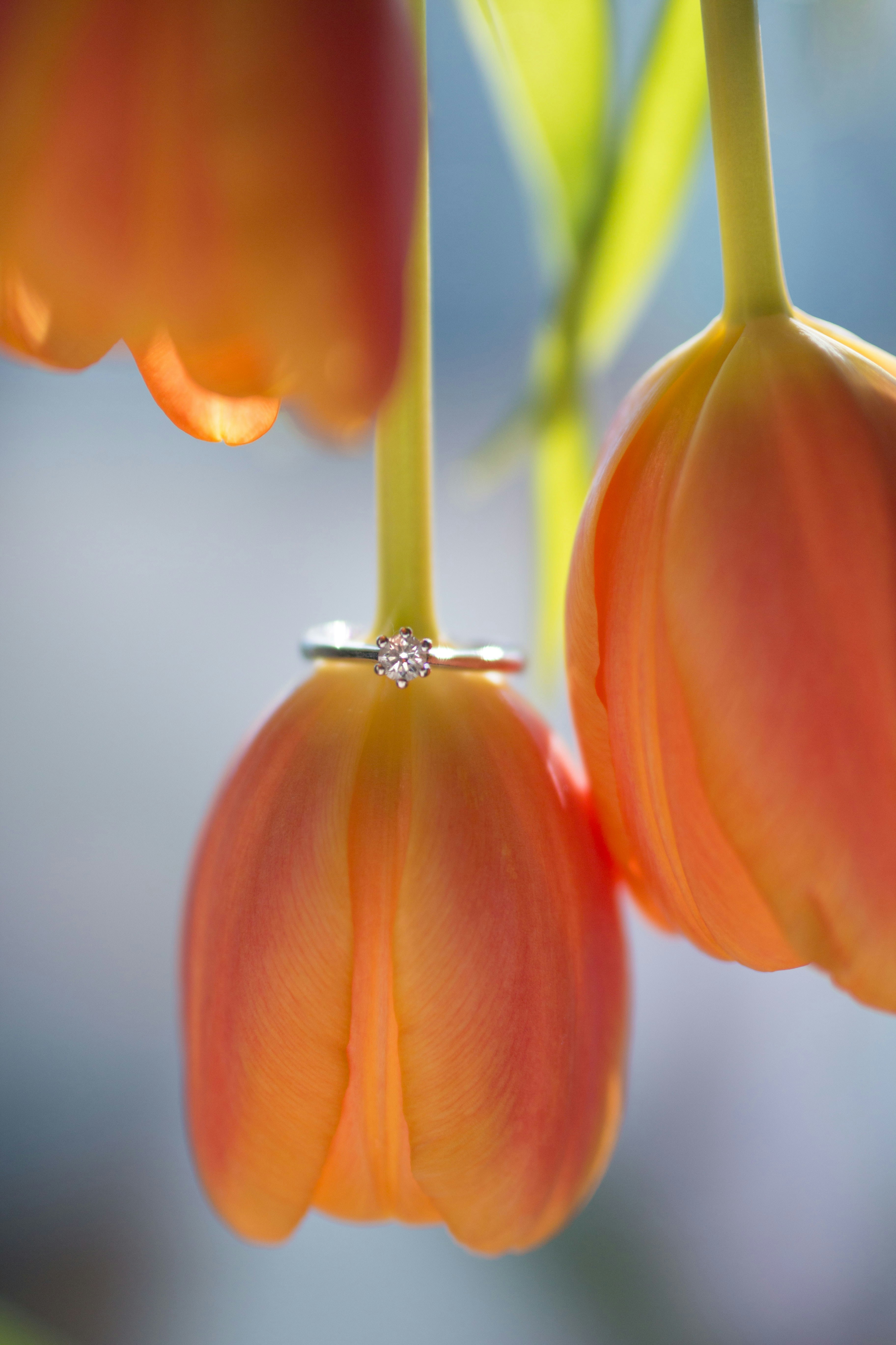 Photo by kajareichardtphotos