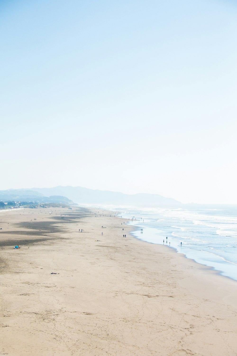 people on beach during daytime