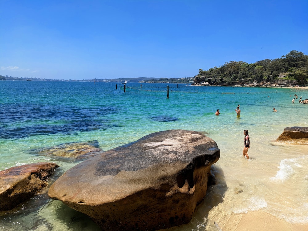 people on beach during daytime