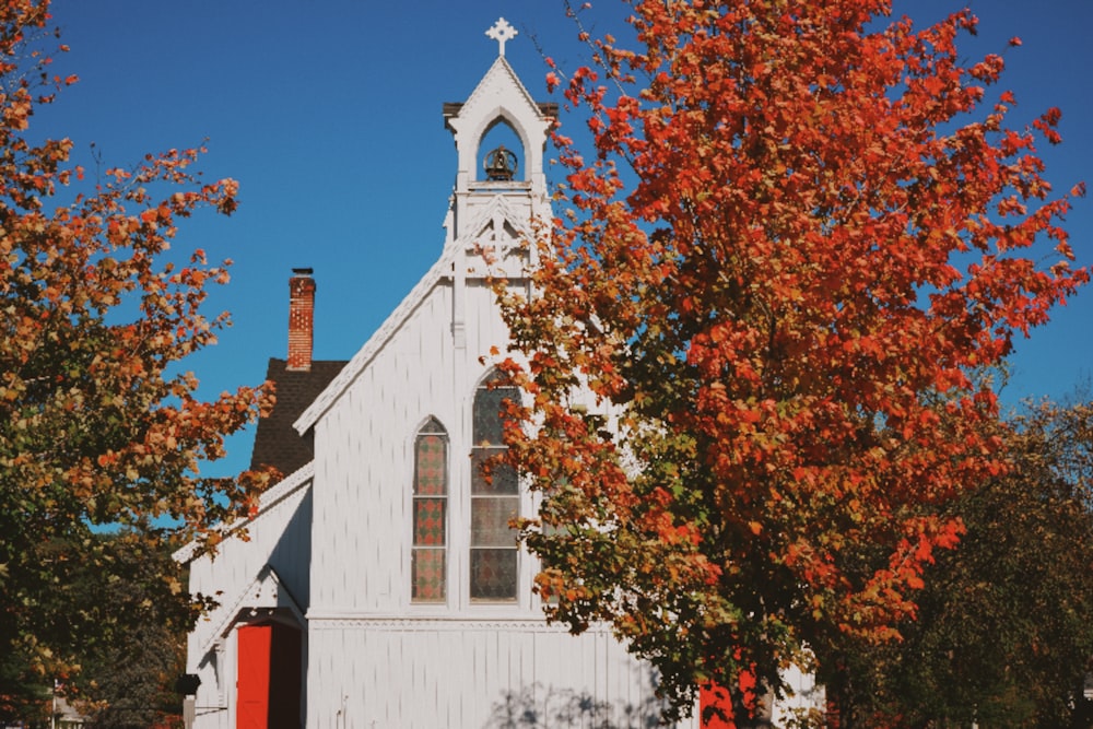 white and red concrete building near brown and green trees under blue sky during daytime