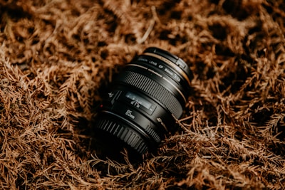 black camera lens on brown dried grass
