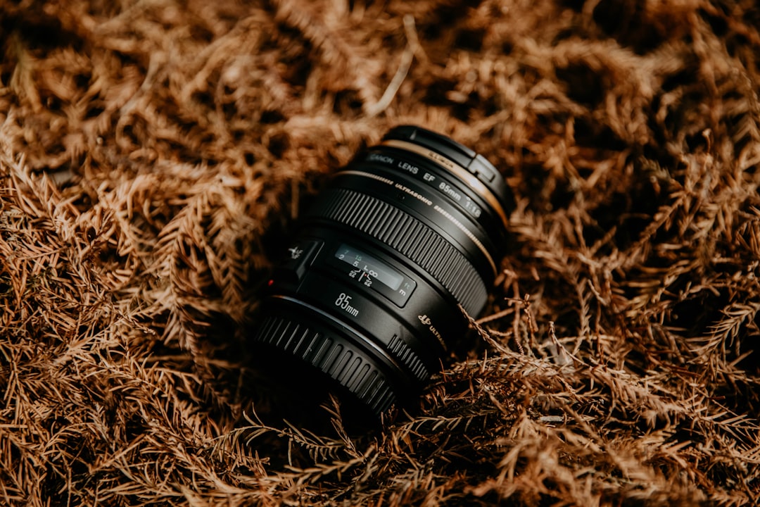black camera lens on brown dried grass