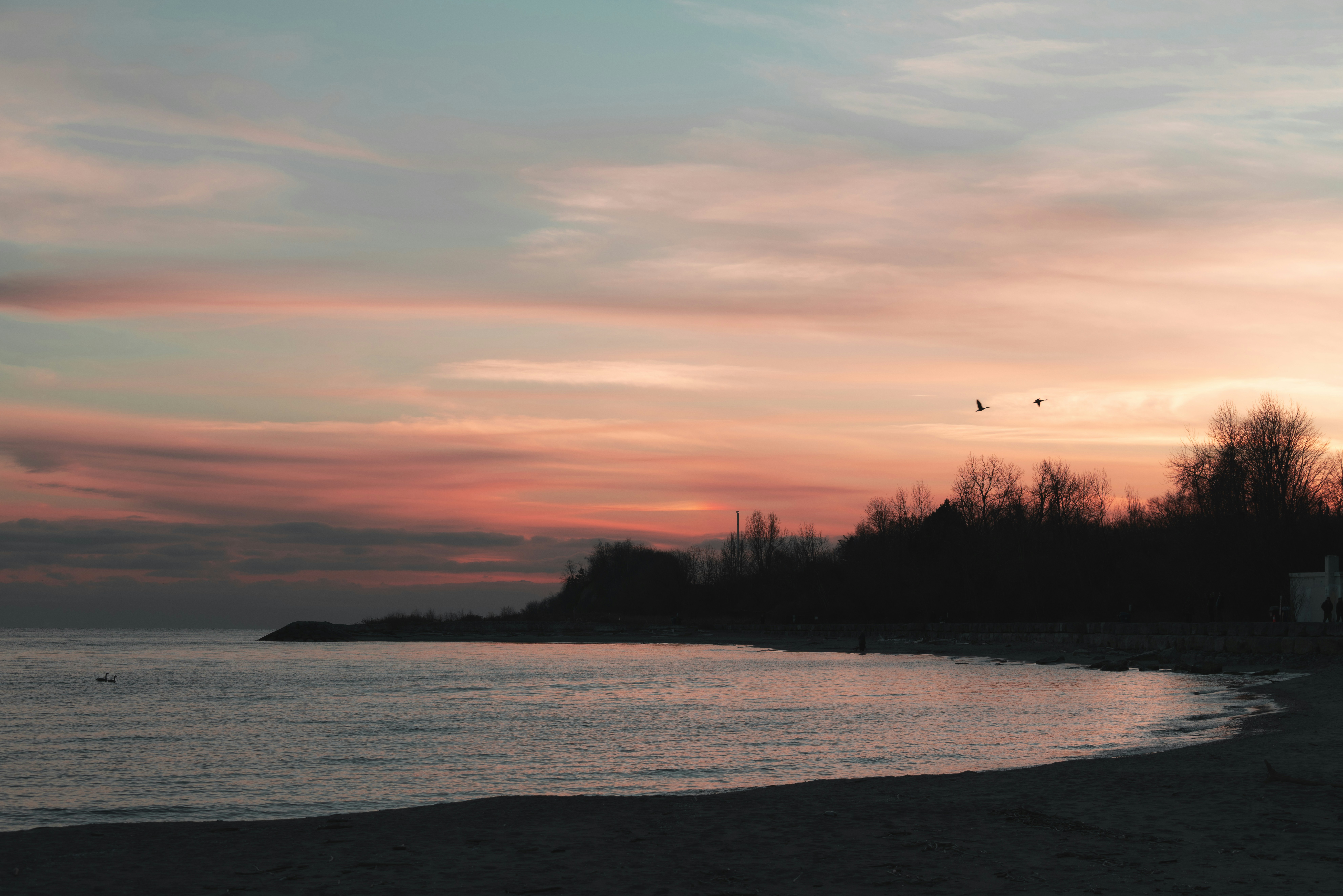 Photo by whiterainforest