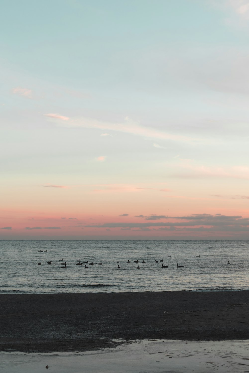 body of water during sunset