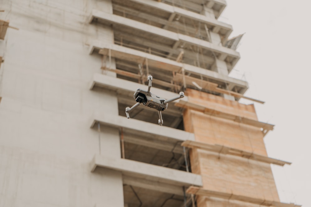 oiseau noir et blanc sur bâtiment en béton blanc pendant la journée