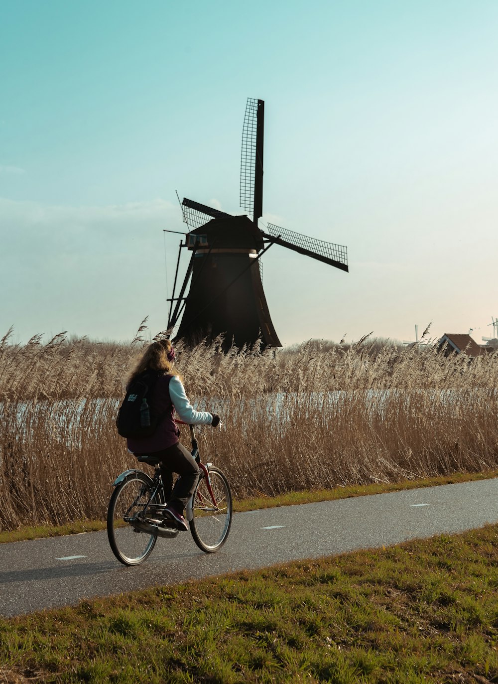 woman in blue jacket riding bicycle on road during daytime