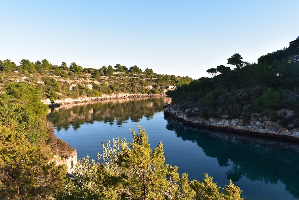 green trees beside river under blue sky during daytime