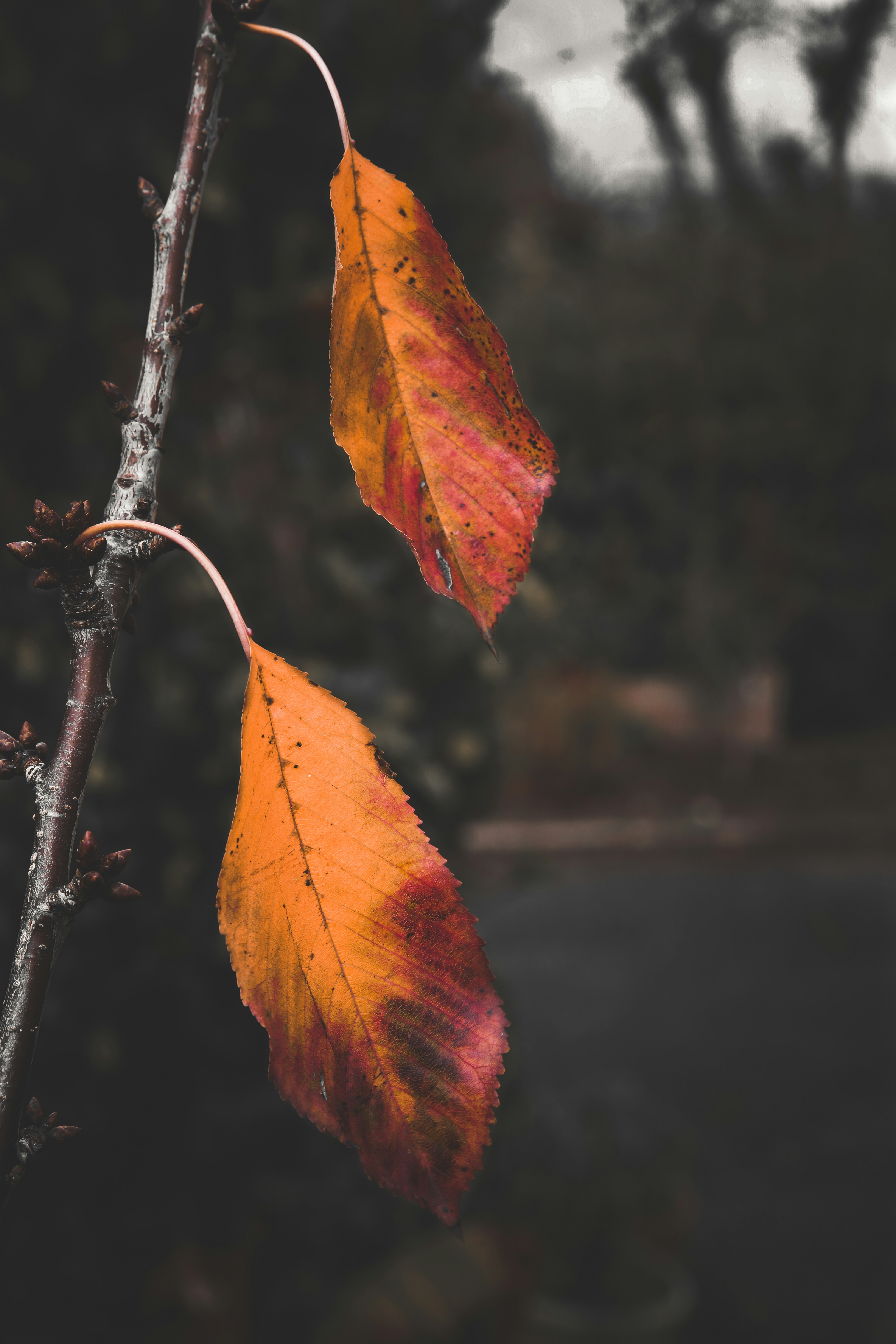 Photo by jusdevoyage