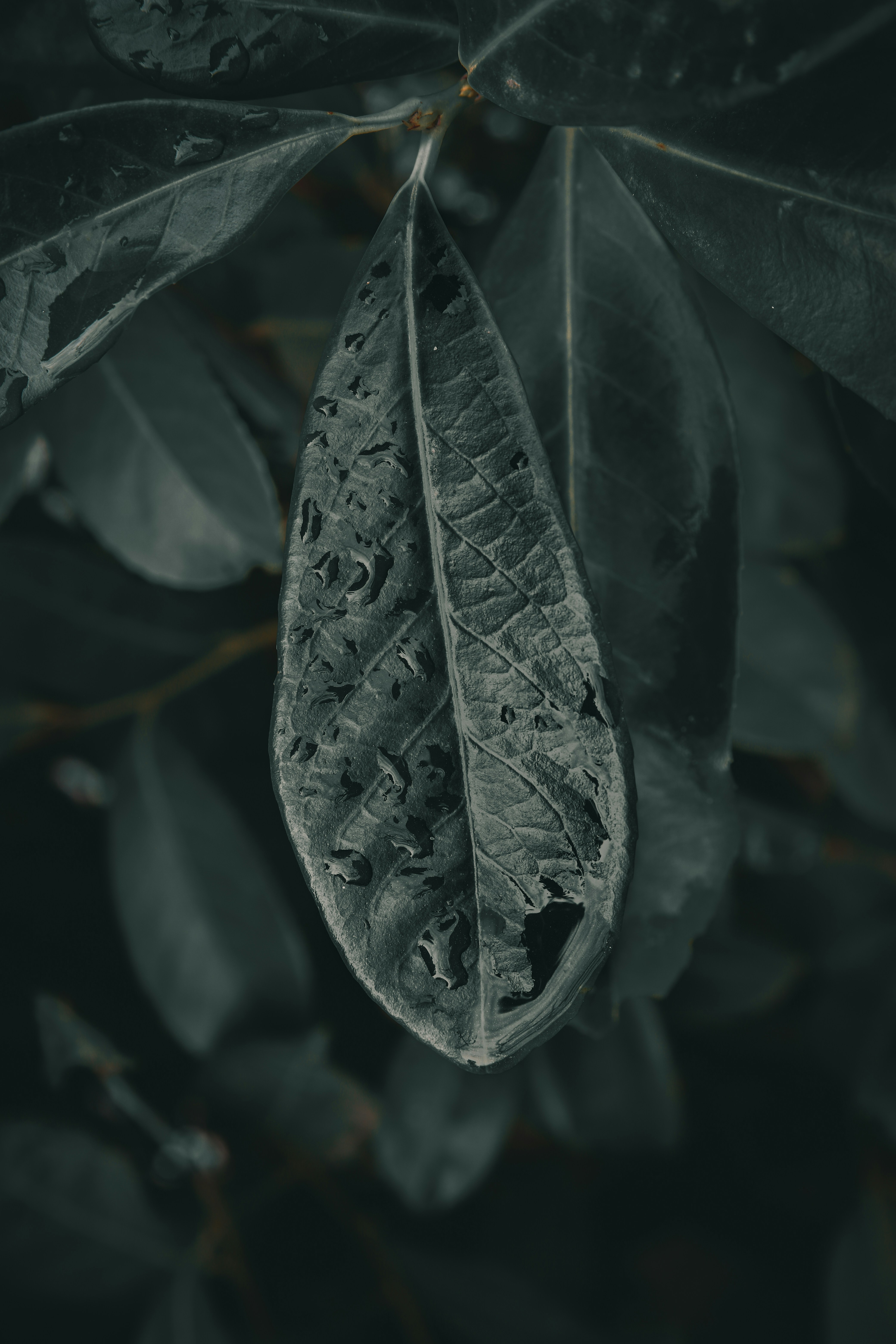 Photo by jusdevoyage