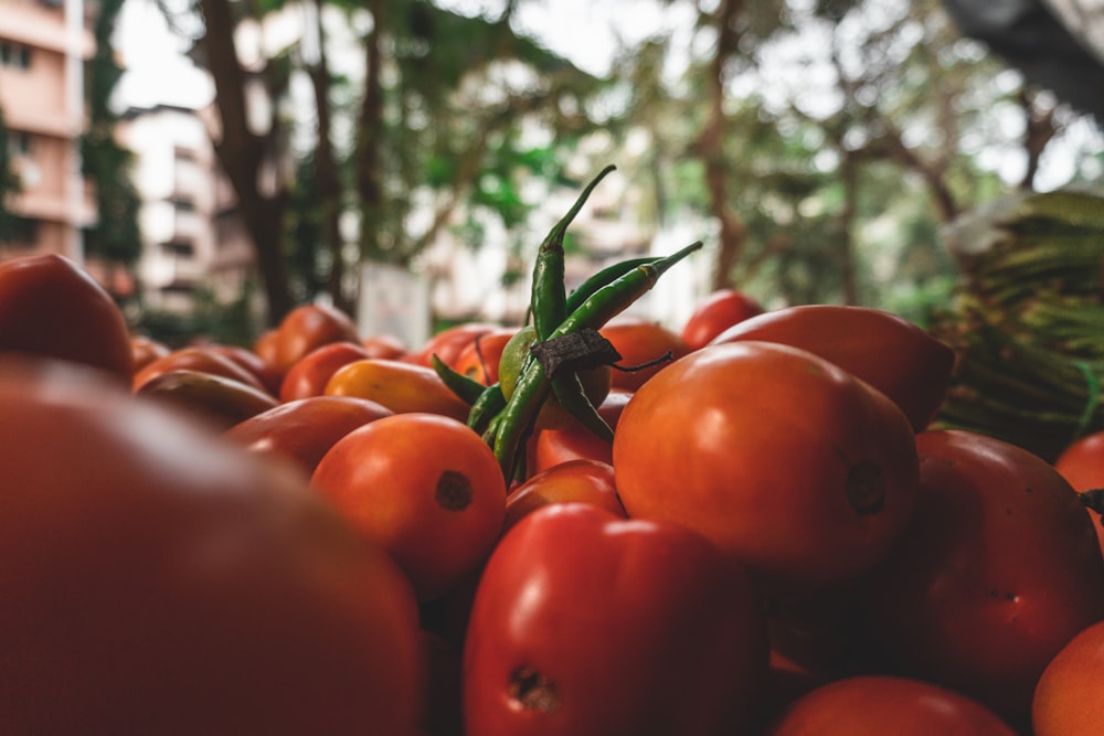 red tomato fruit in close up photography