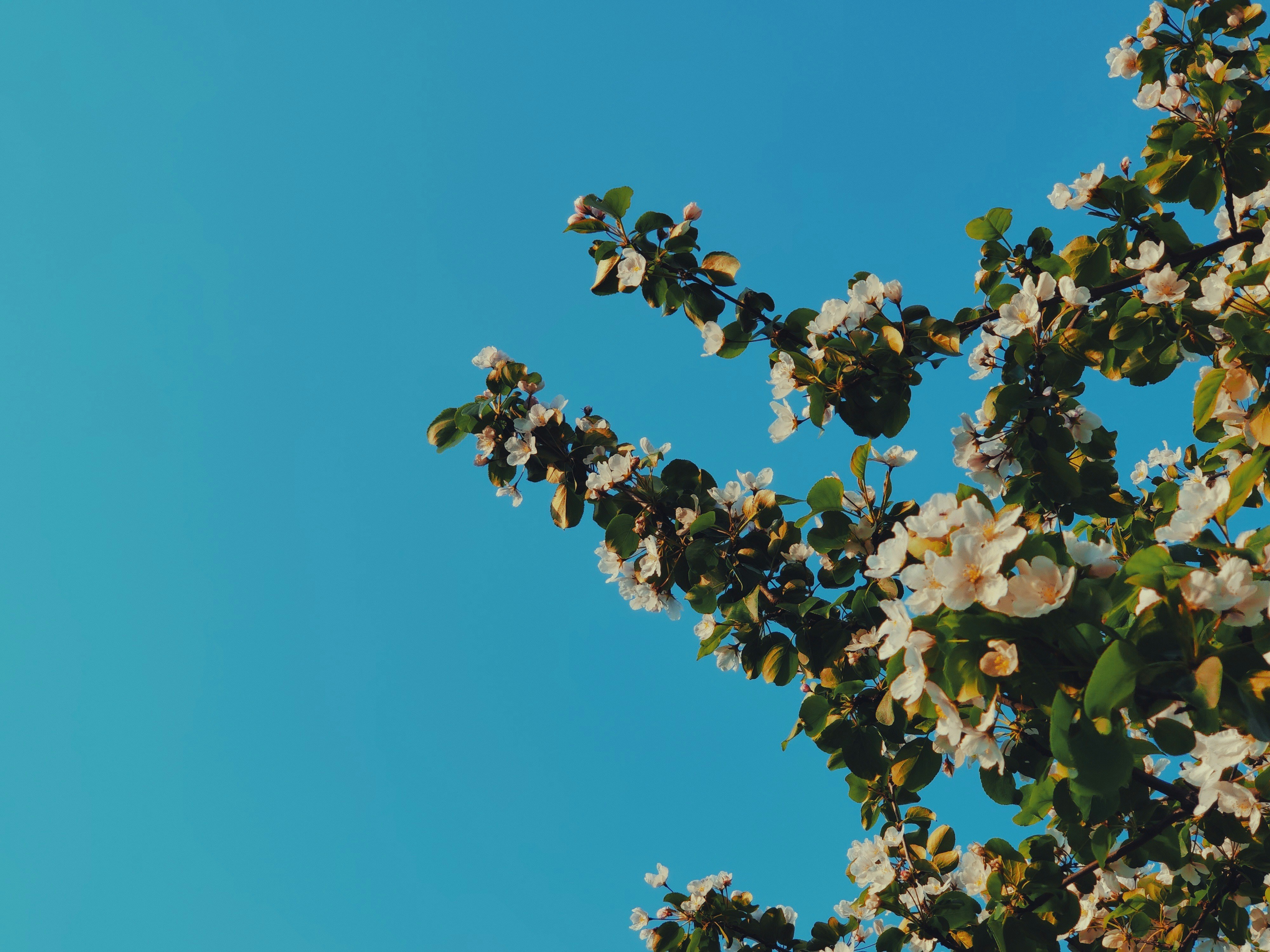 Photo by kazusaki_sagar