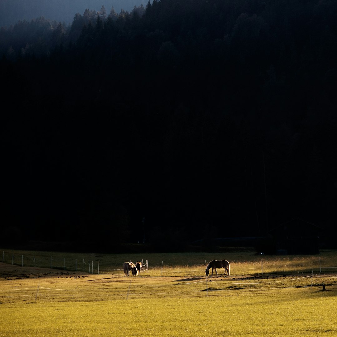 Ecoregion photo spot Seefeld in Tirol Mayrhofen