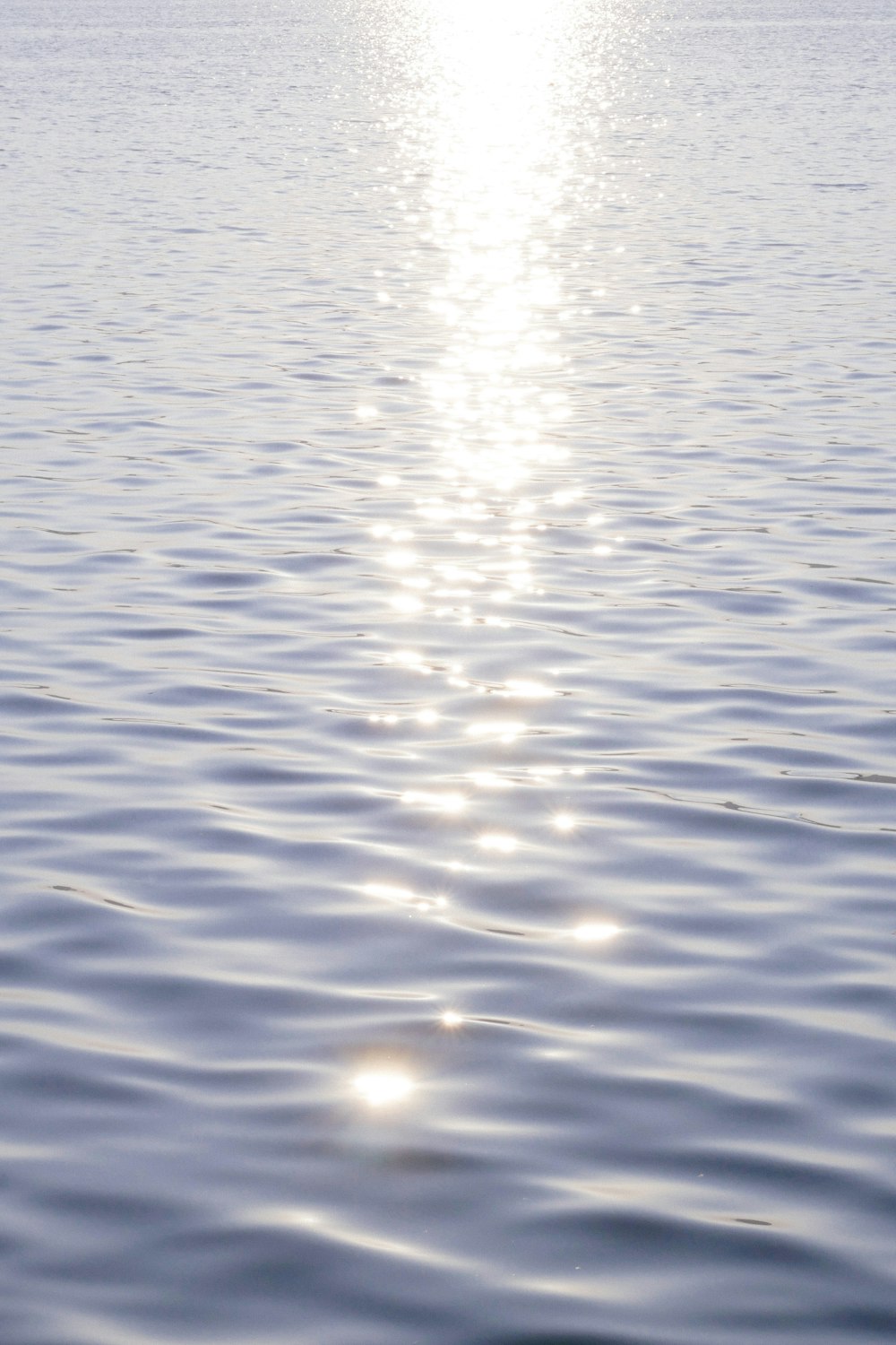 body of water during daytime