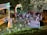 A vibrant nighttime outdoor event with a gathering of people in a park-like setting. Decorative lights are arranged in arches, and there are booths with colorful signs and a leafy tree creating a canopy. The atmosphere is lively, with groups of people interacting and strolling.