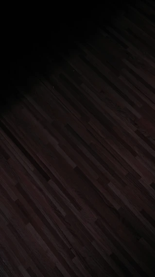 Close-up of a sleek, dark wooden floor with subtle gold veins reflecting soft ambient lighting.