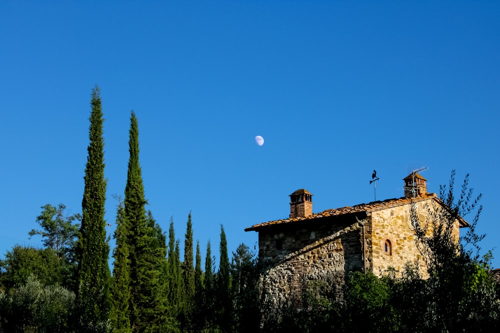 brown concrete building near green trees under blue sky during daytime