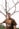man in brown crew neck t-shirt standing beside bare tree during daytime