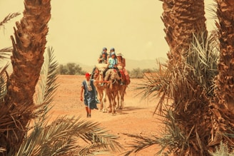 A group of people riding camels is led by a man in traditional attire through a dry, desert landscape, framed by tall palm trees. The sky is hazy, suggesting a hot, arid environment.