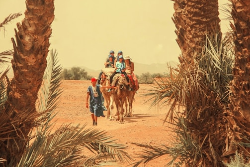 A group of people riding camels is led by a man in traditional attire through a dry, desert landscape, framed by tall palm trees. The sky is hazy, suggesting a hot, arid environment.