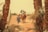 A group of people riding camels is led by a man in traditional attire through a dry, desert landscape, framed by tall palm trees. The sky is hazy, suggesting a hot, arid environment.