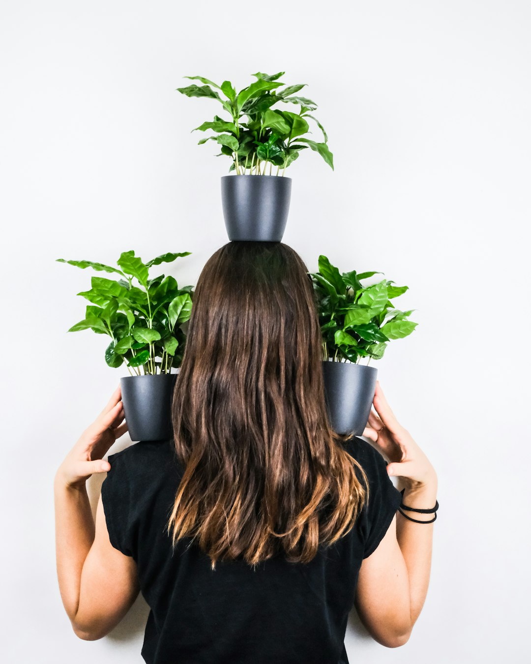 woman in black sleeveless dress holding green plant