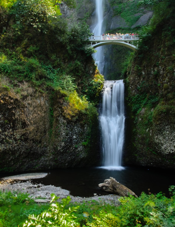 white bridge over river between green moss covered rocksby Ron Barabash