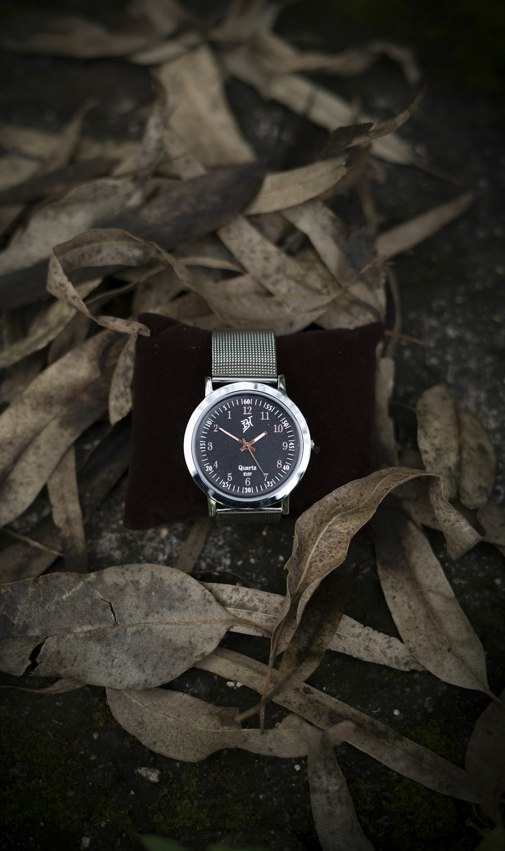 black and silver analog watch on brown dried leaves