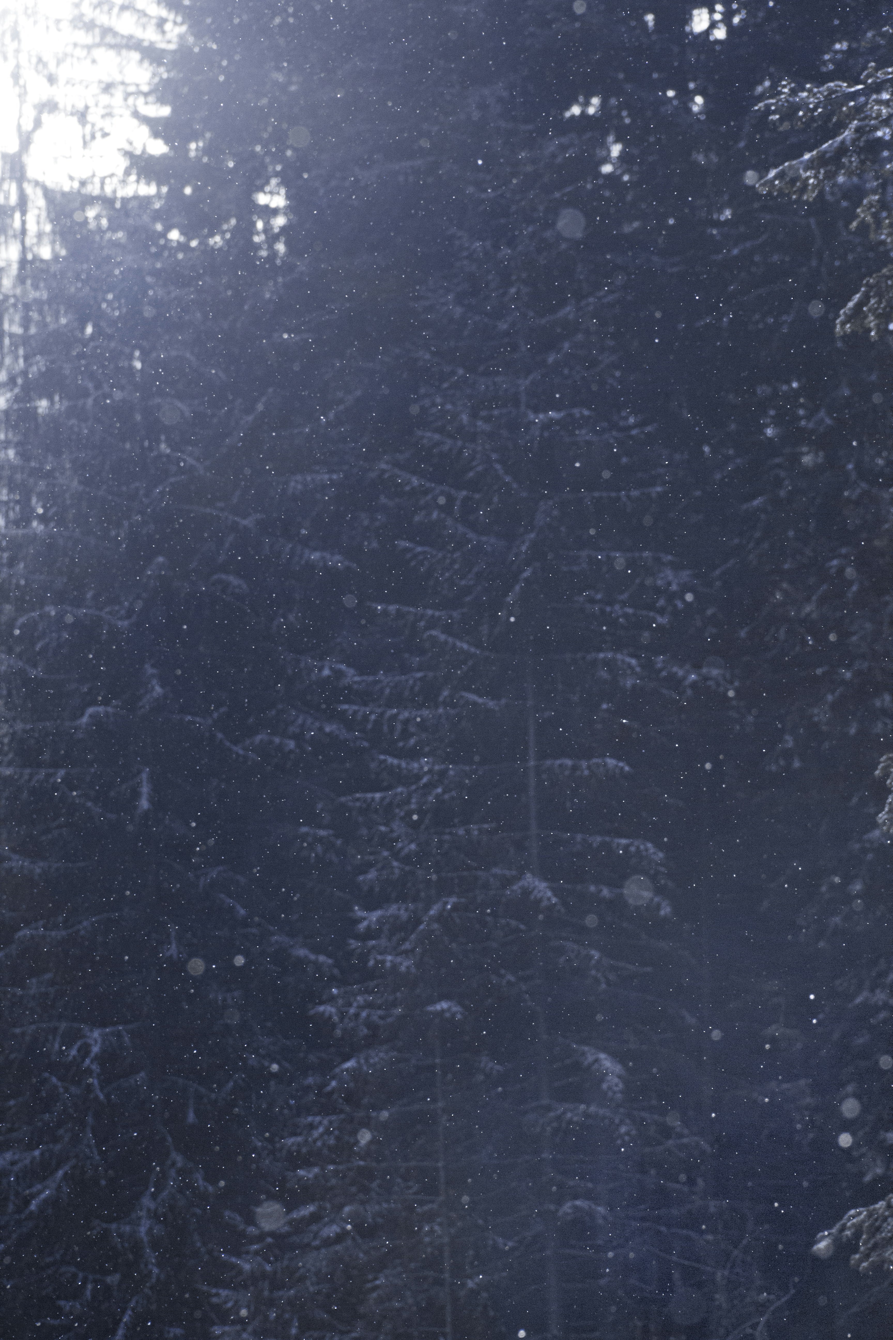 Photo by w_lodarczyk