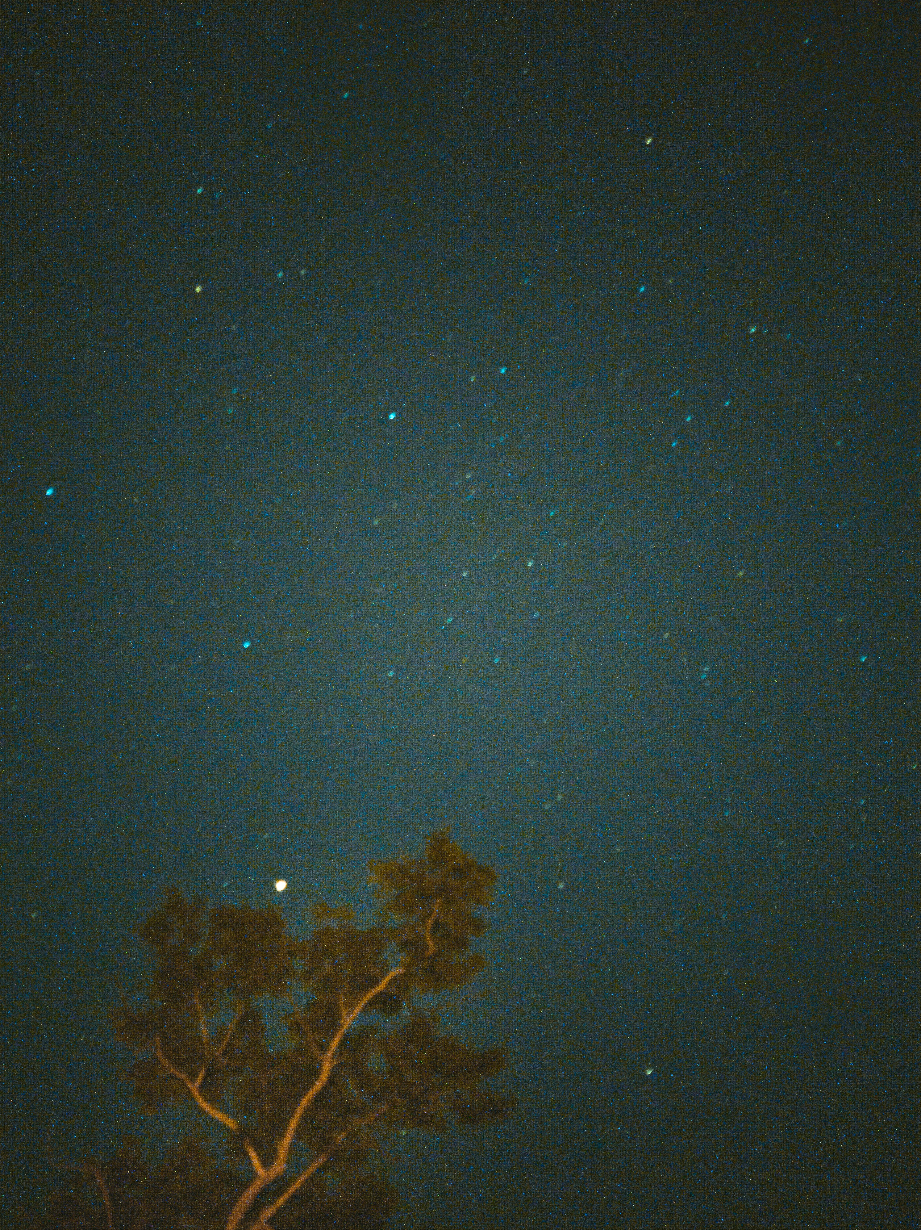 별들의 속삭임, 감춰진 운명의 그림자: 미스터리 점성술의 기원과 숨겨진 의미를 찾아서