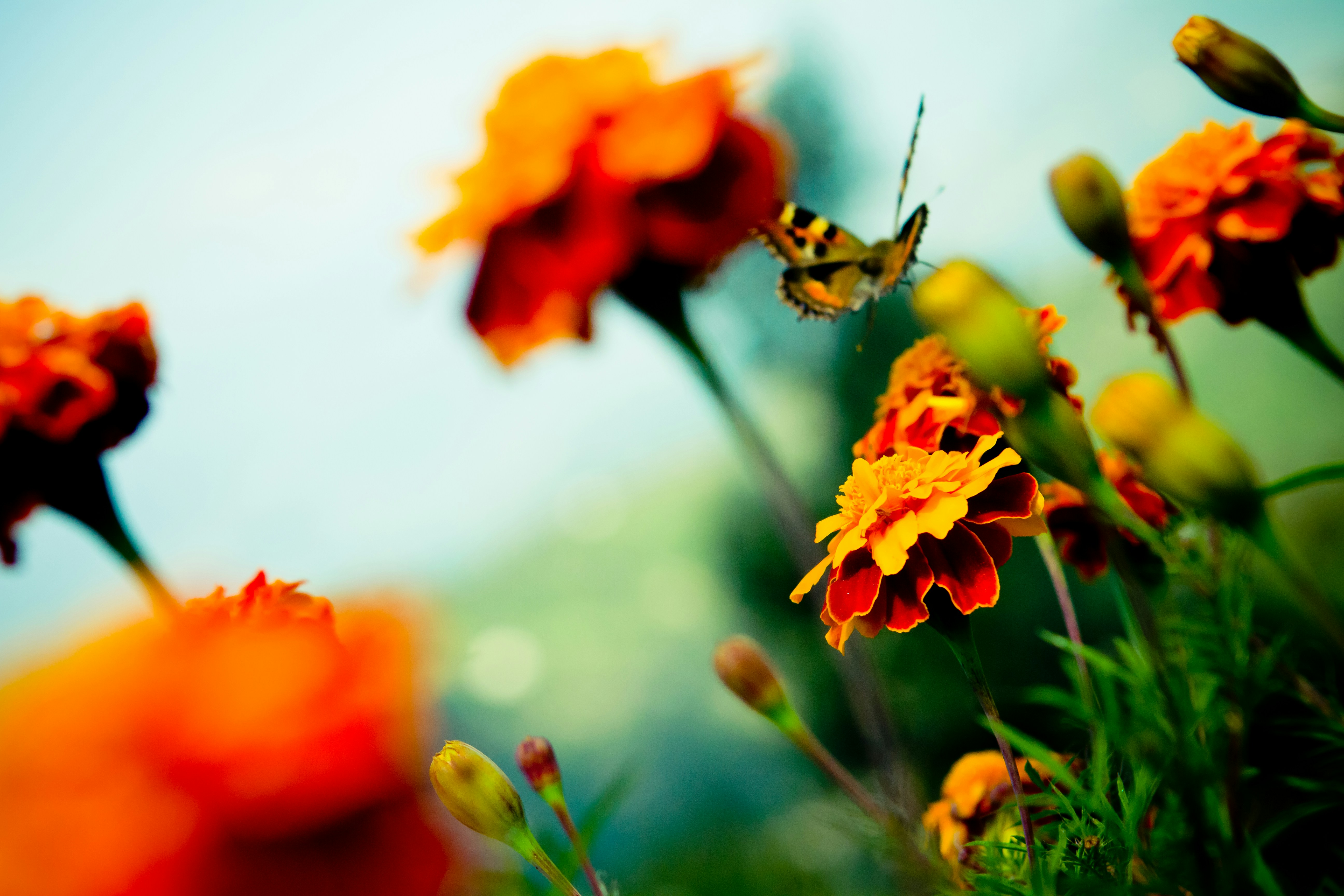 Photo by raimondklavins