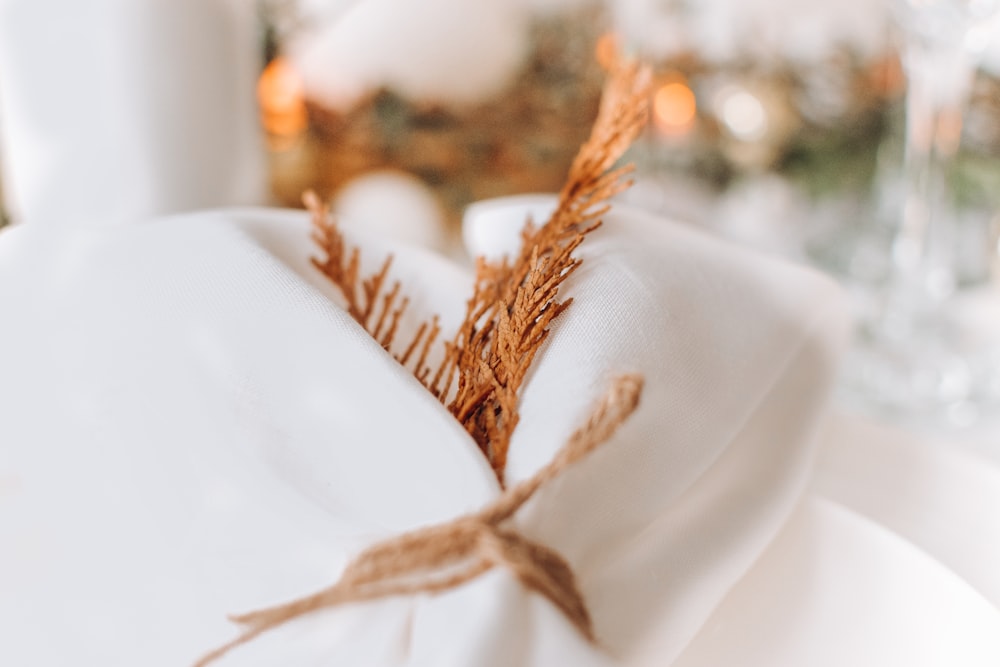 brown dried plant on white textile