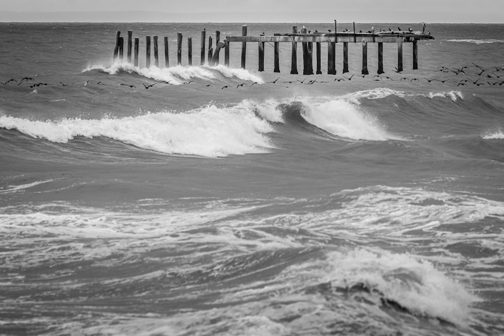 grayscale photo of sea waves