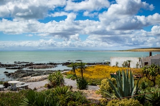 A scenic view of a plot of land in Tulum.