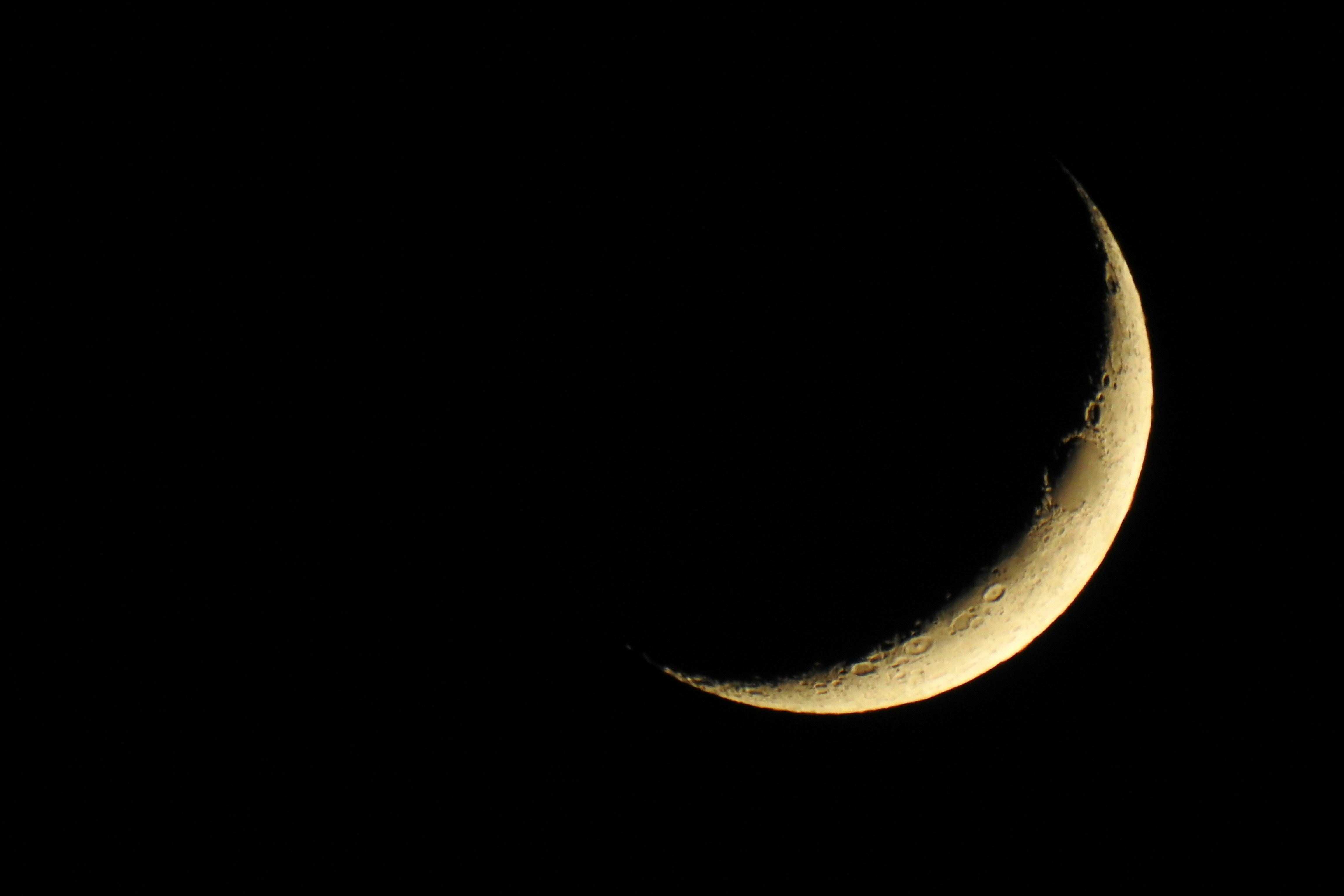 Photo by naturepic4free