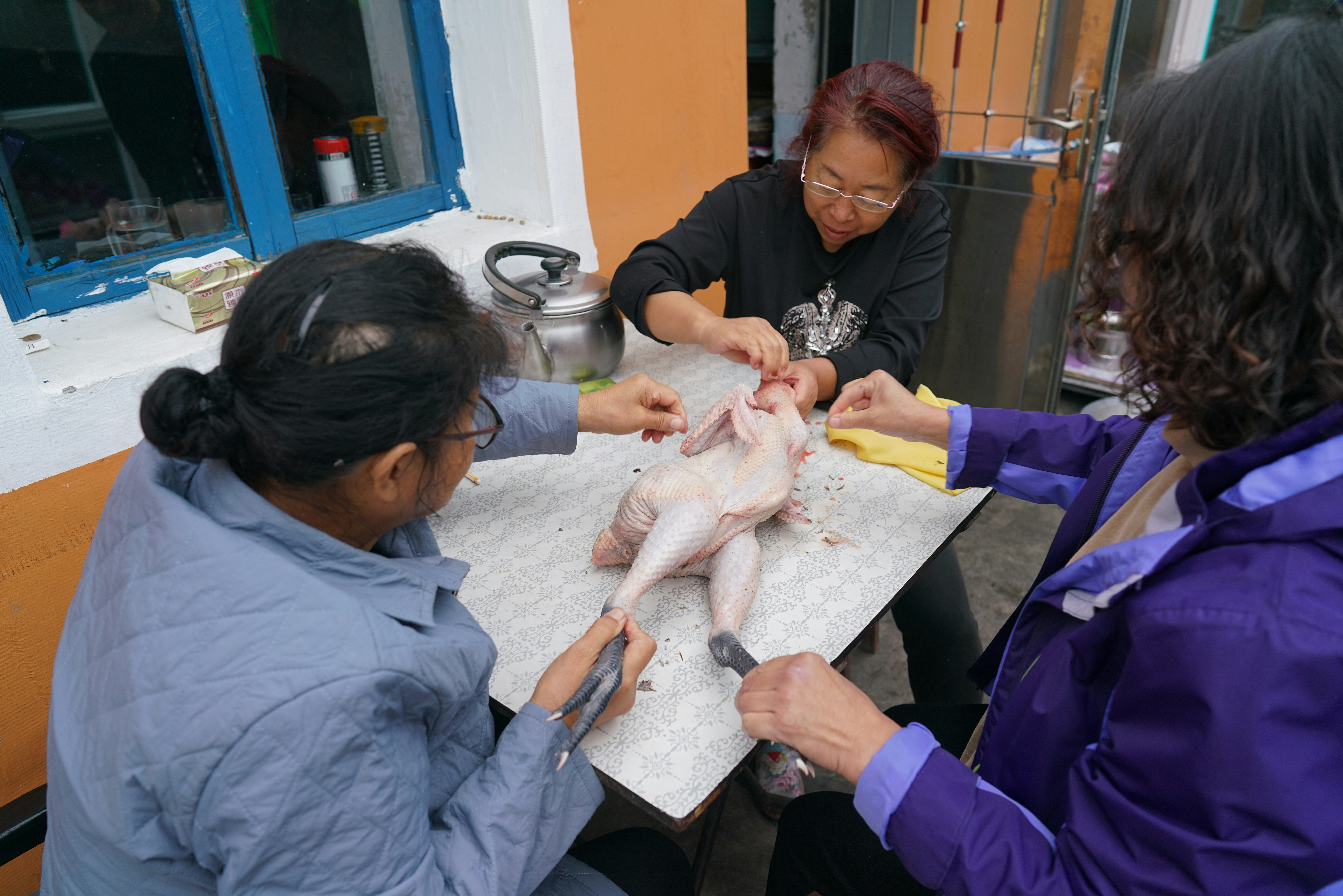 Bird Veterinary Care Basics: Essential Guide