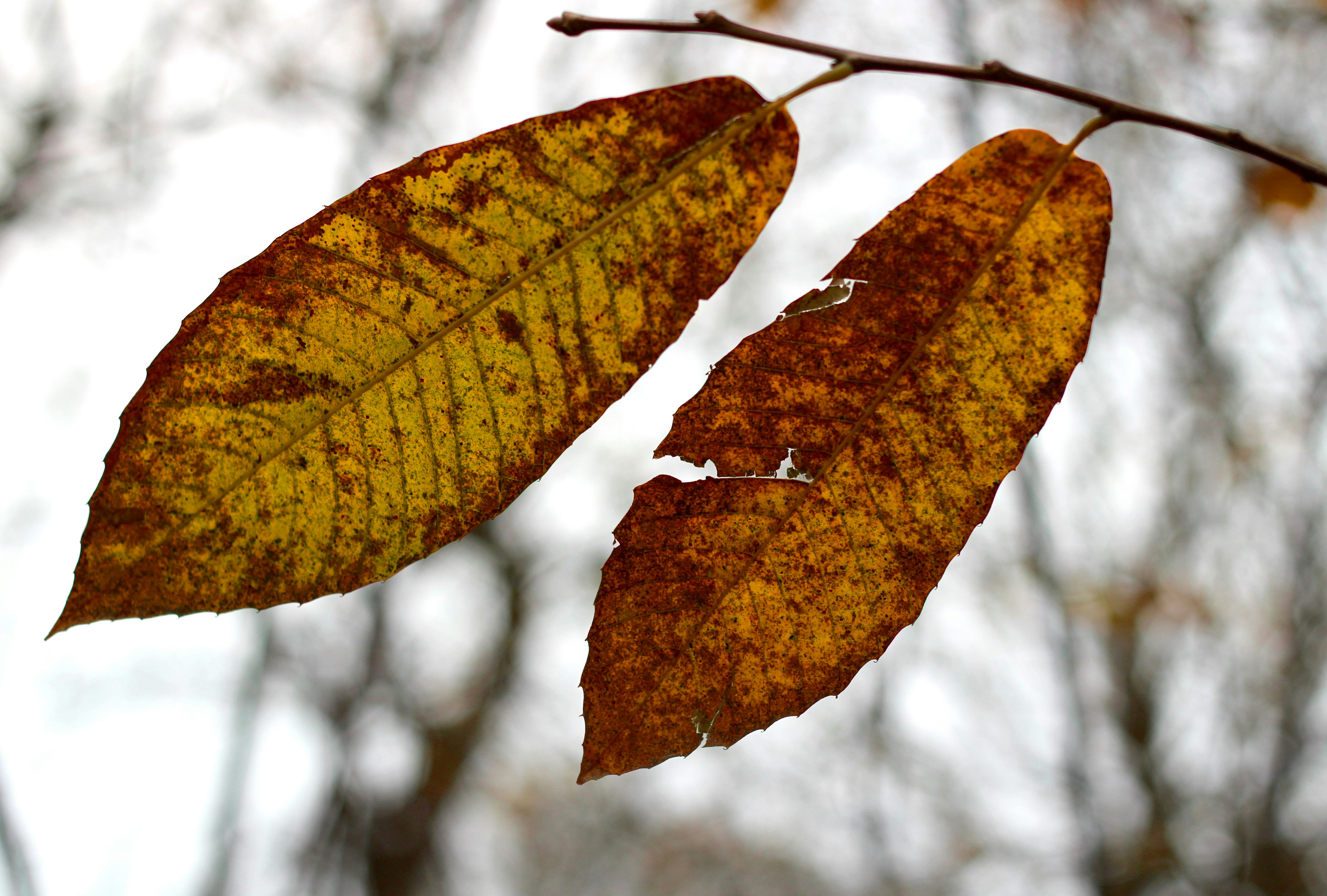 Photo by katiegerrard