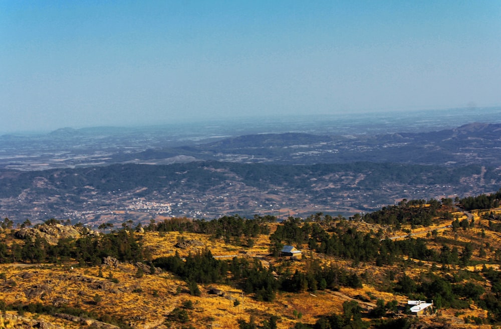 vista aérea de árboles verdes y ciudad durante el día