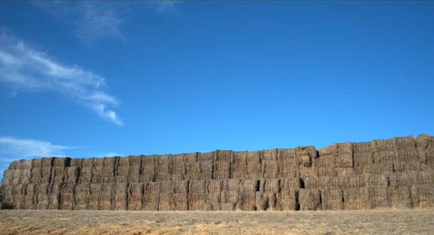 A close-up of fresh hay bales stacked neatly beside a weathered fence under a blue sky.