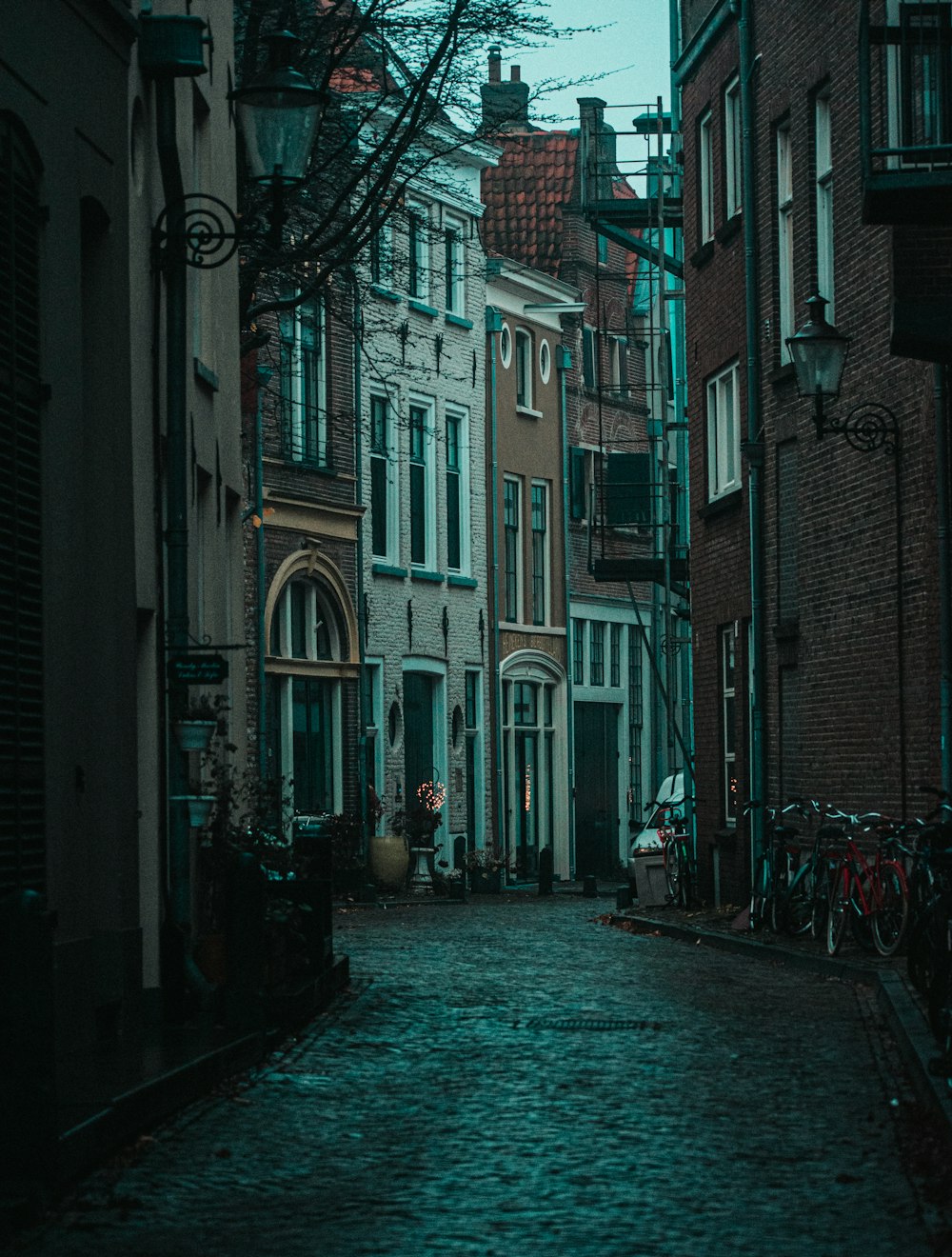 people walking on street between buildings during daytime