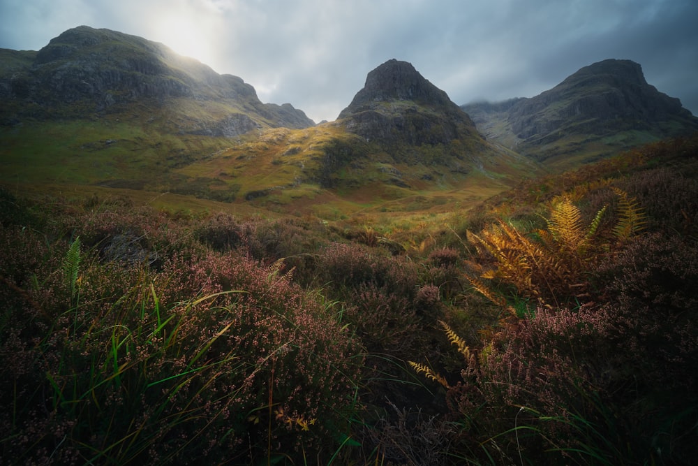 green grass field near mountain under cloudy sky during daytime